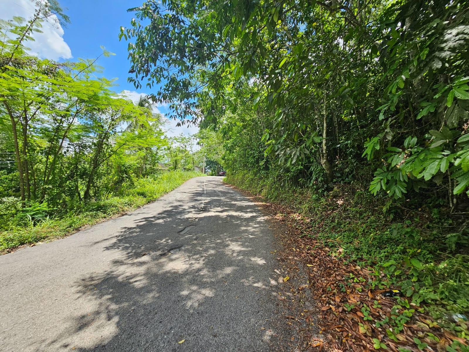 Eighteenth image of Copse, Lethe Dist in Lethe, Hanover, Jamaica - property is For Sale