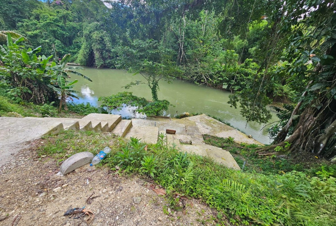 Nineteenth image of Copse, Lethe Dist in Lethe, Hanover, Jamaica - property is For Sale