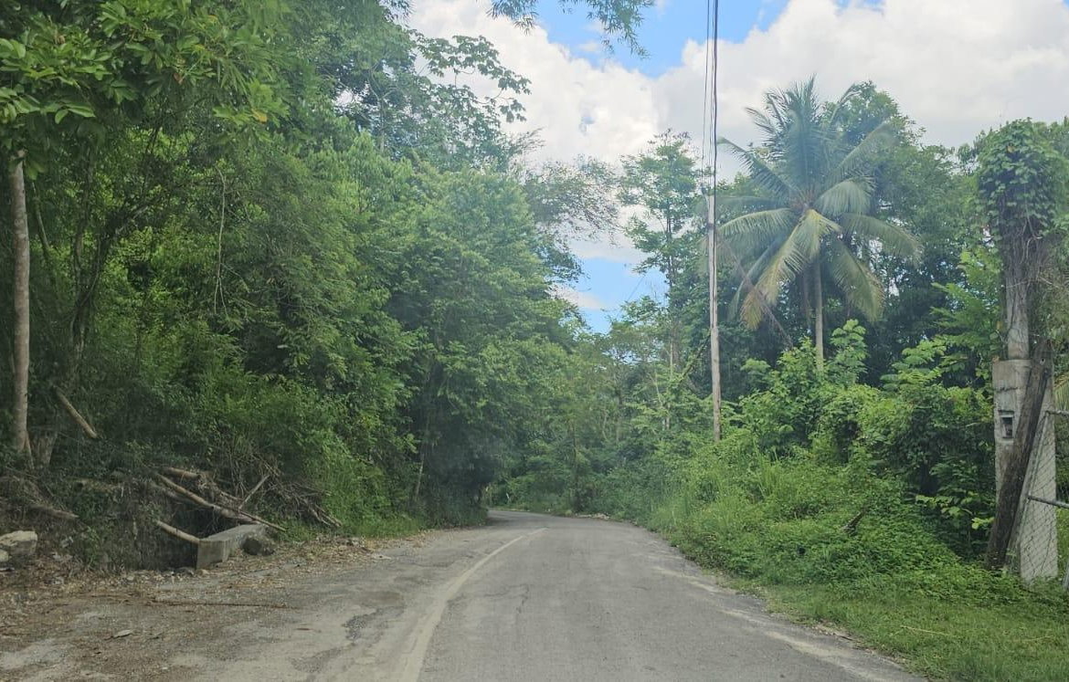 Third image of Copse, Lethe Dist in Lethe, Hanover, Jamaica - property is For Sale