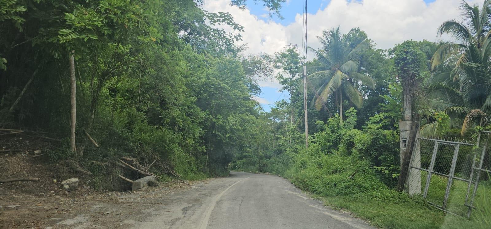 Third image of Copse, Lethe Dist in Lethe, Hanover, Jamaica - property is For Sale