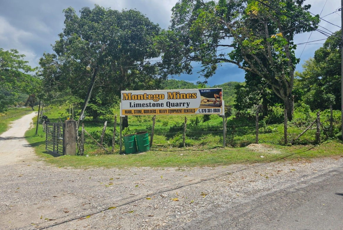 Twenty-First image of Copse, Lethe Dist in Lethe, Hanover, Jamaica - property is For Sale