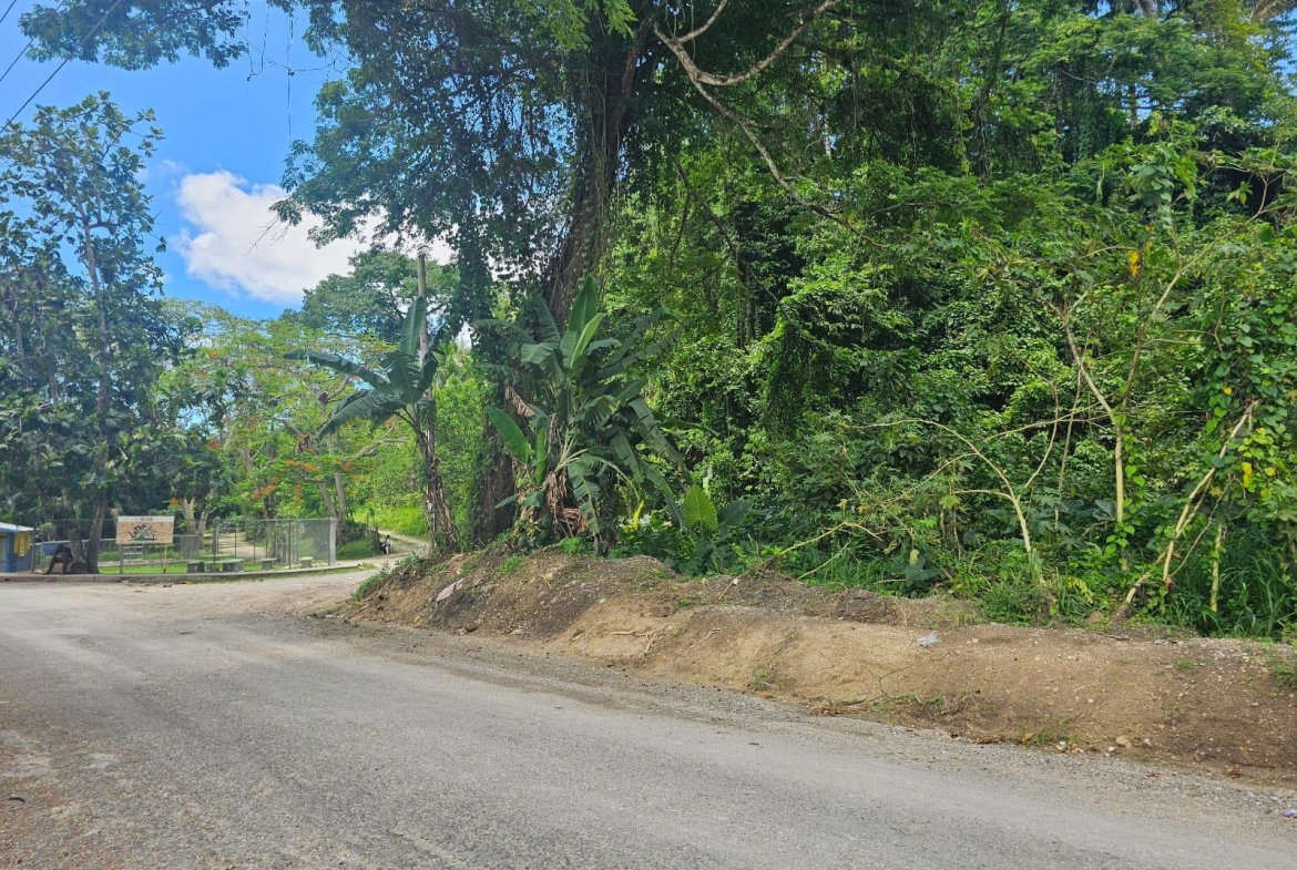 Twenty-Second image of Copse, Lethe Dist in Lethe, Hanover, Jamaica - property is For Sale