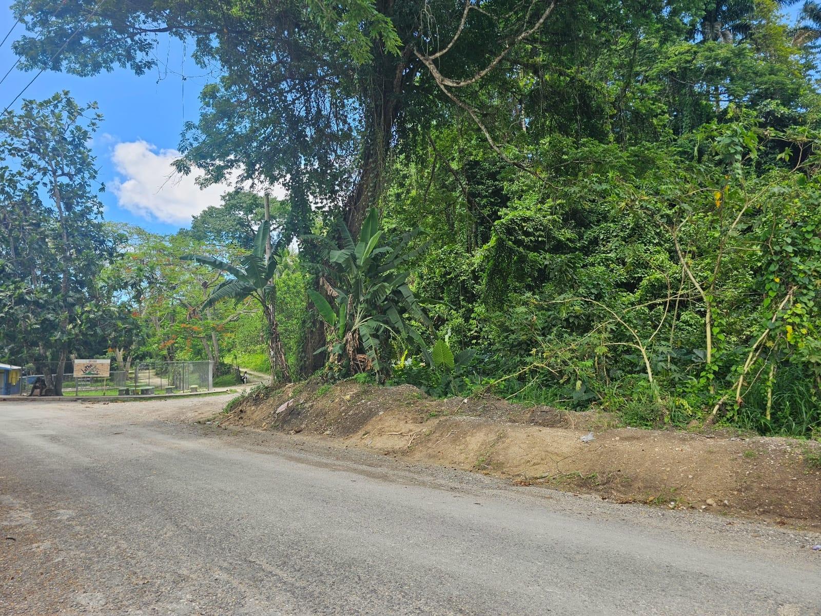Twenty-Second image of Copse, Lethe Dist in Lethe, Hanover, Jamaica - property is For Sale
