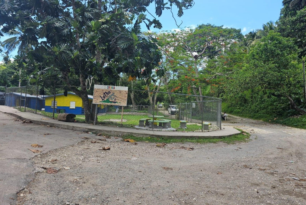 Twenty-Third image of Copse, Lethe Dist in Lethe, Hanover, Jamaica - property is For Sale