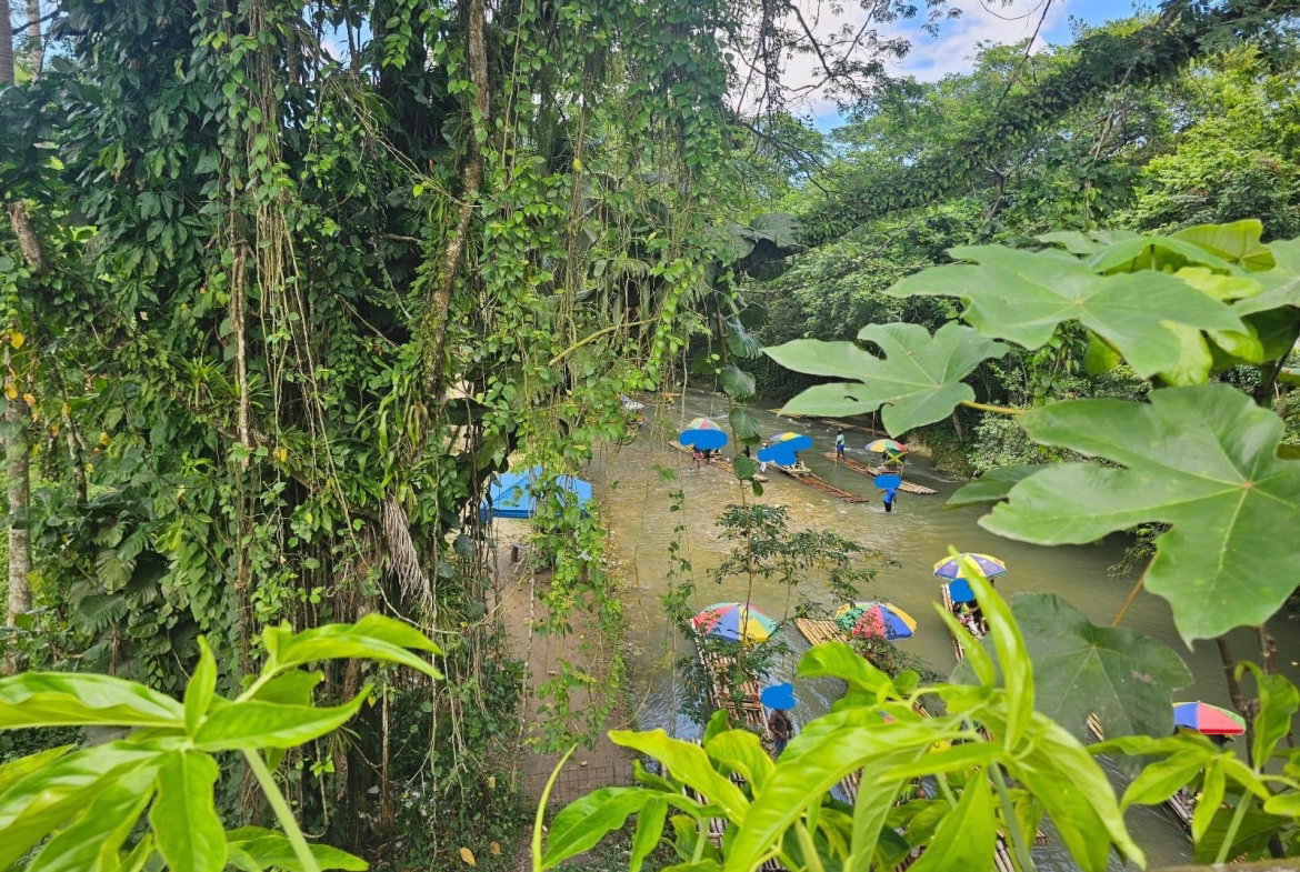 Twenty-Sixth image of Copse, Lethe Dist in Lethe, Hanover, Jamaica - property is For Sale