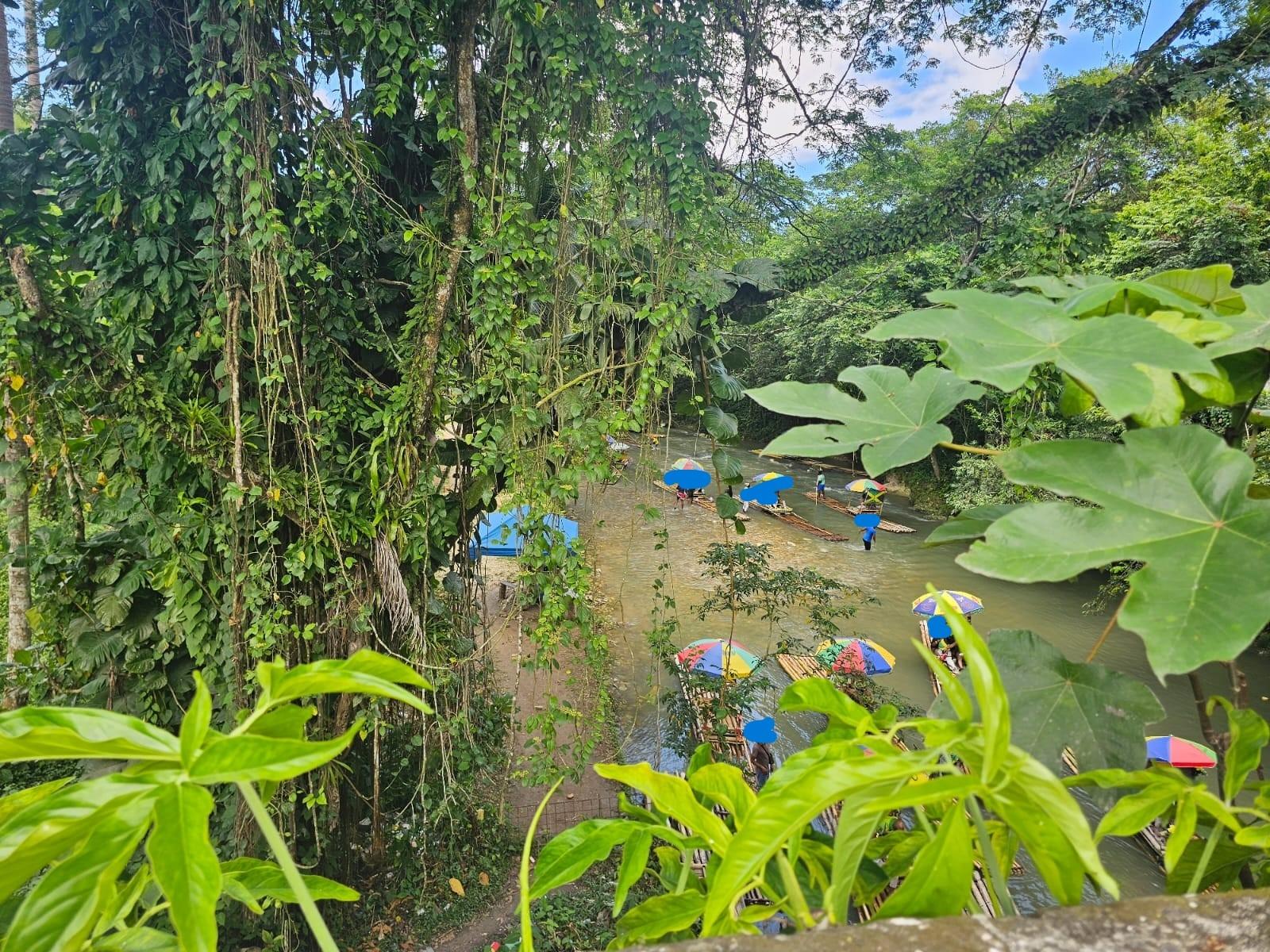 Twenty-Sixth image of Copse, Lethe Dist in Lethe, Hanover, Jamaica - property is For Sale