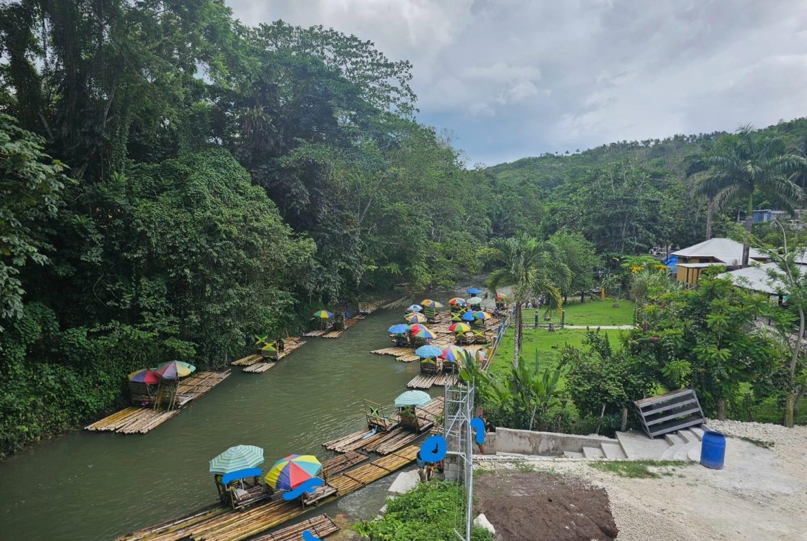 Twenty-Seventh image of Copse, Lethe Dist in Lethe, Hanover, Jamaica - property is For Sale