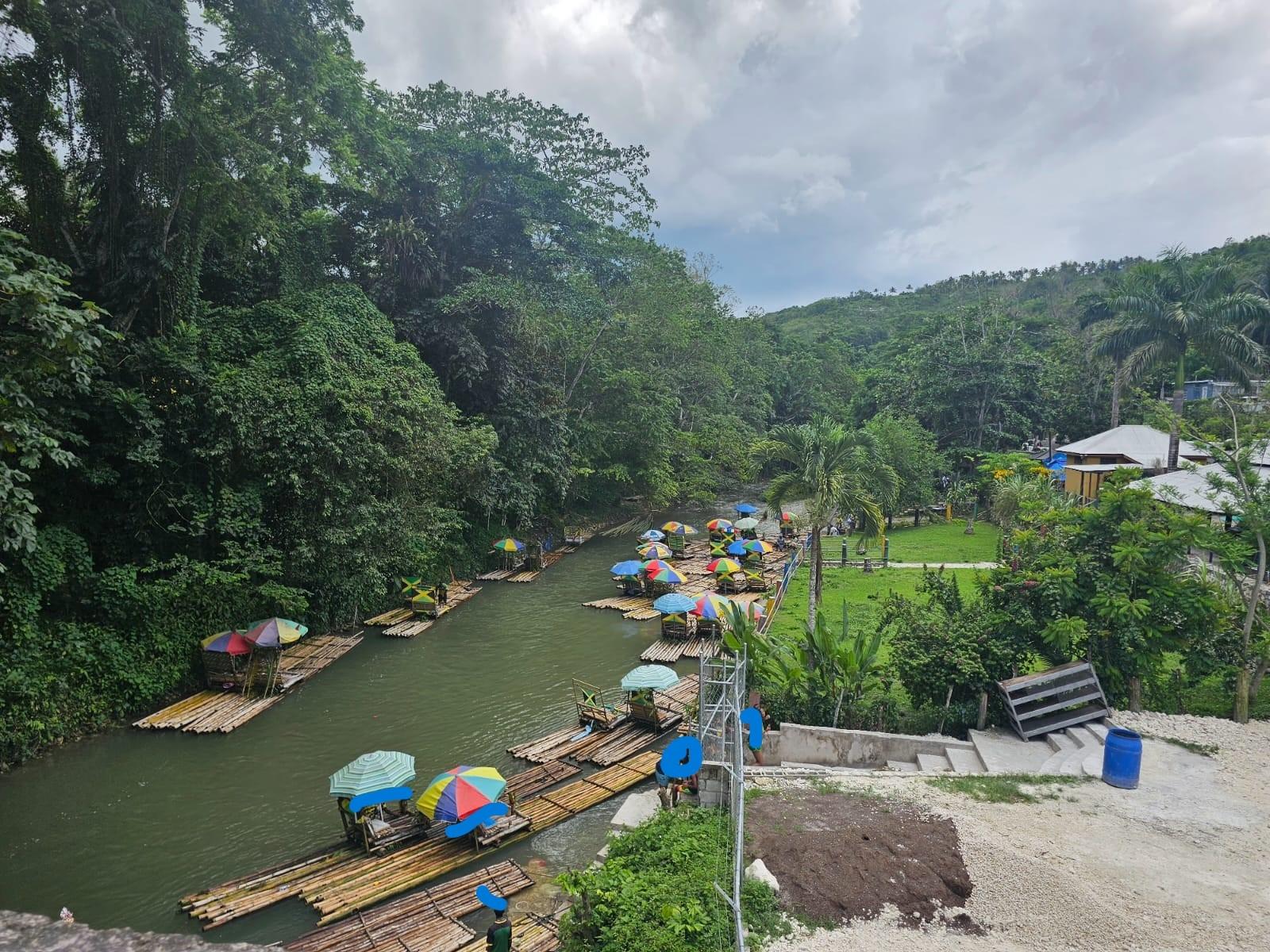 Twenty-Seventh image of Copse, Lethe Dist in Lethe, Hanover, Jamaica - property is For Sale