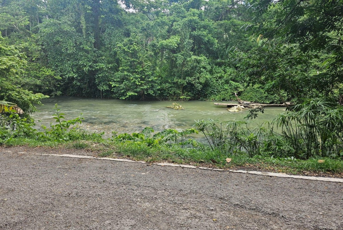 Twenty-Eighth image of Copse, Lethe Dist in Lethe, Hanover, Jamaica - property is For Sale