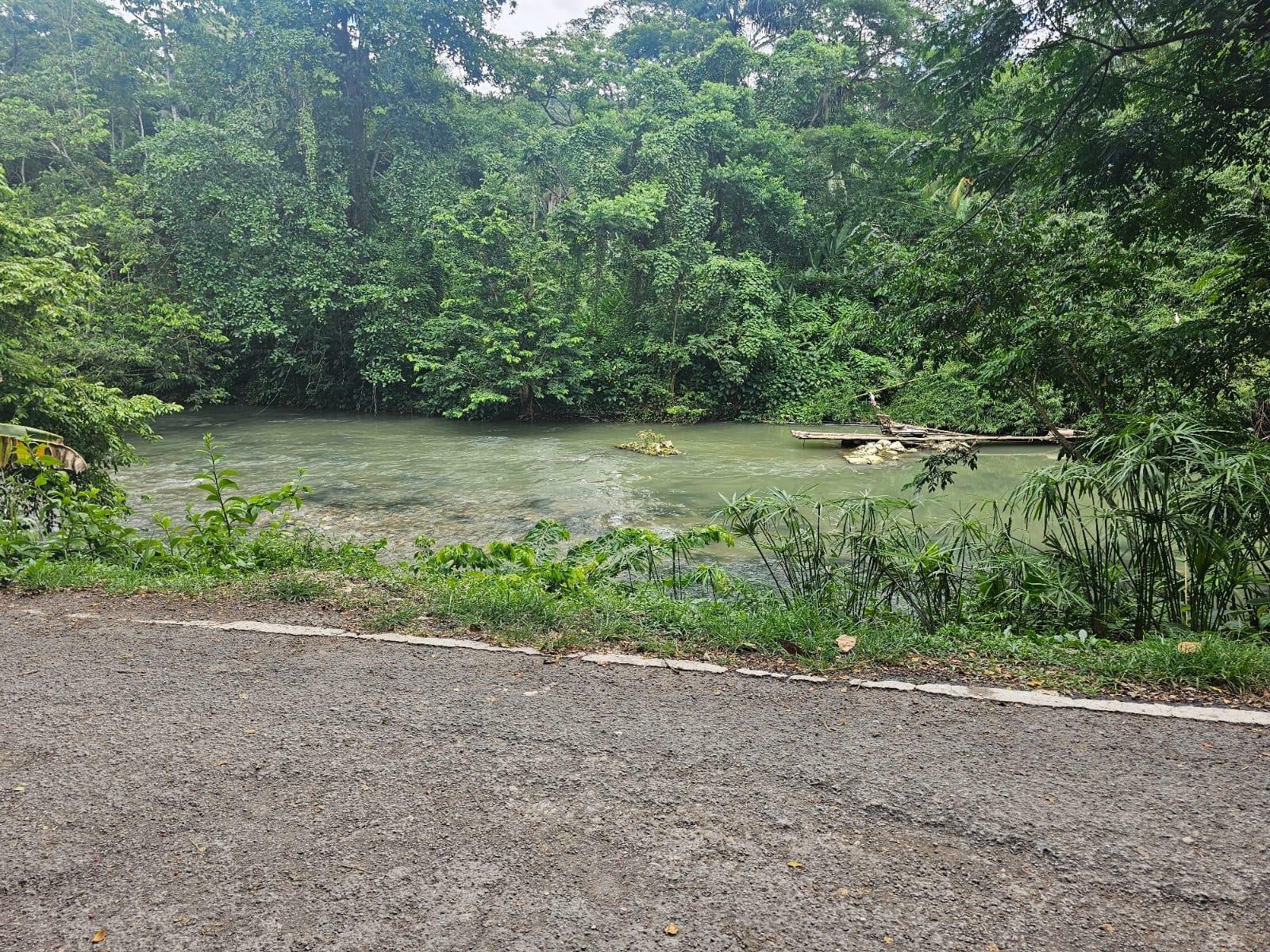 Twenty-Eighth image of Copse, Lethe Dist in Lethe, Hanover, Jamaica - property is For Sale