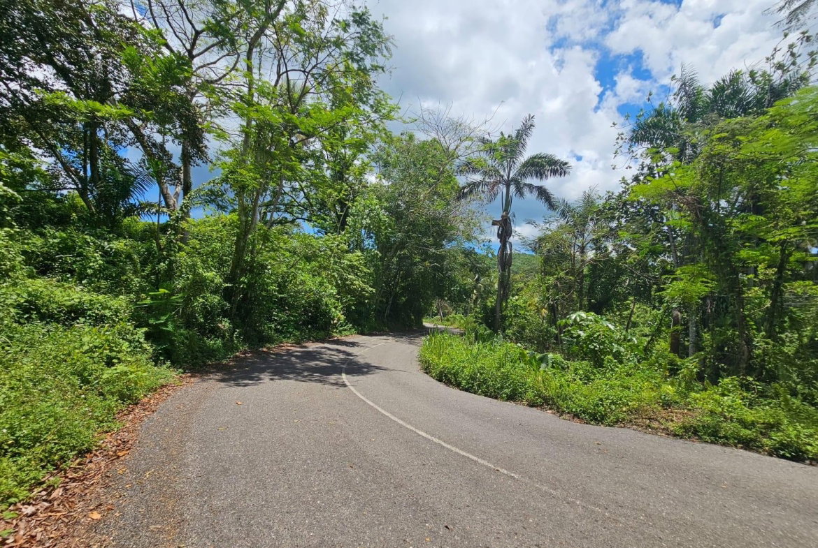 Fourth image of Copse, Lethe Dist in Lethe, Hanover, Jamaica - property is For Sale