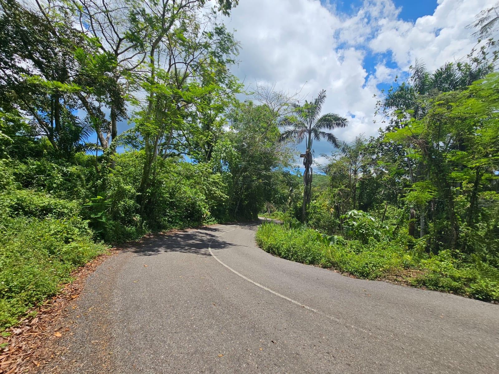 Fourth image of Copse, Lethe Dist in Lethe, Hanover, Jamaica - property is For Sale