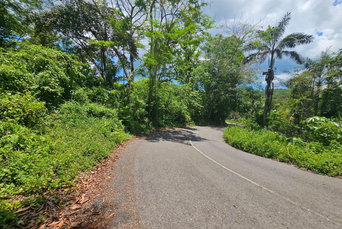 Fifth image of Copse, Lethe Dist in Lethe, Hanover, Jamaica - property is For Sale
