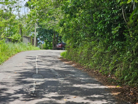 First image of Copse, Lethe Dist in Lethe, Hanover, Jamaica - property is For Sale