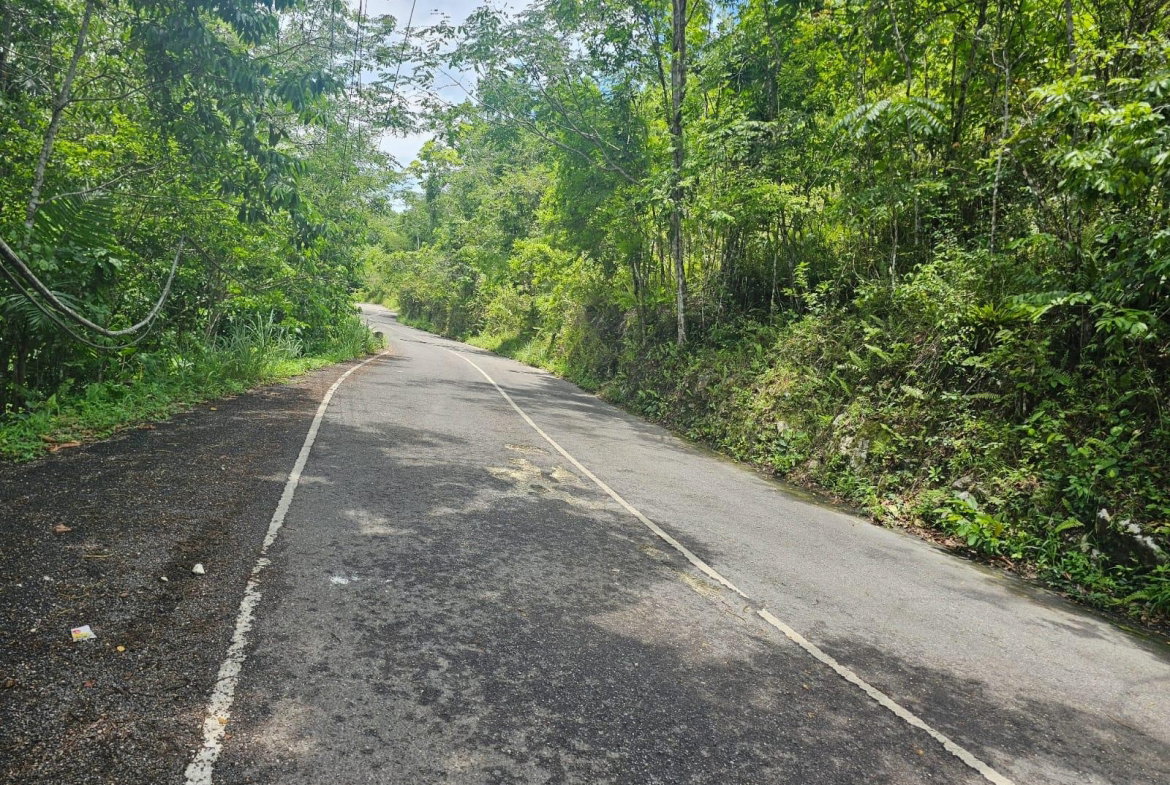 Seventh image of Copse, Lethe Dist in Lethe, Hanover, Jamaica - property is For Sale