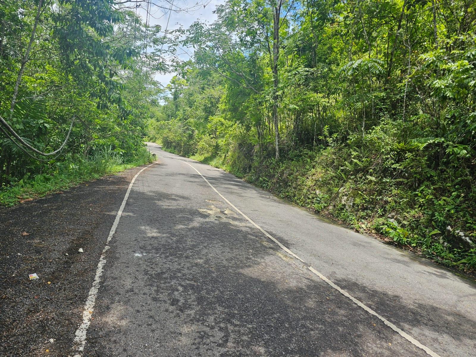 Seventh image of Copse, Lethe Dist in Lethe, Hanover, Jamaica - property is For Sale