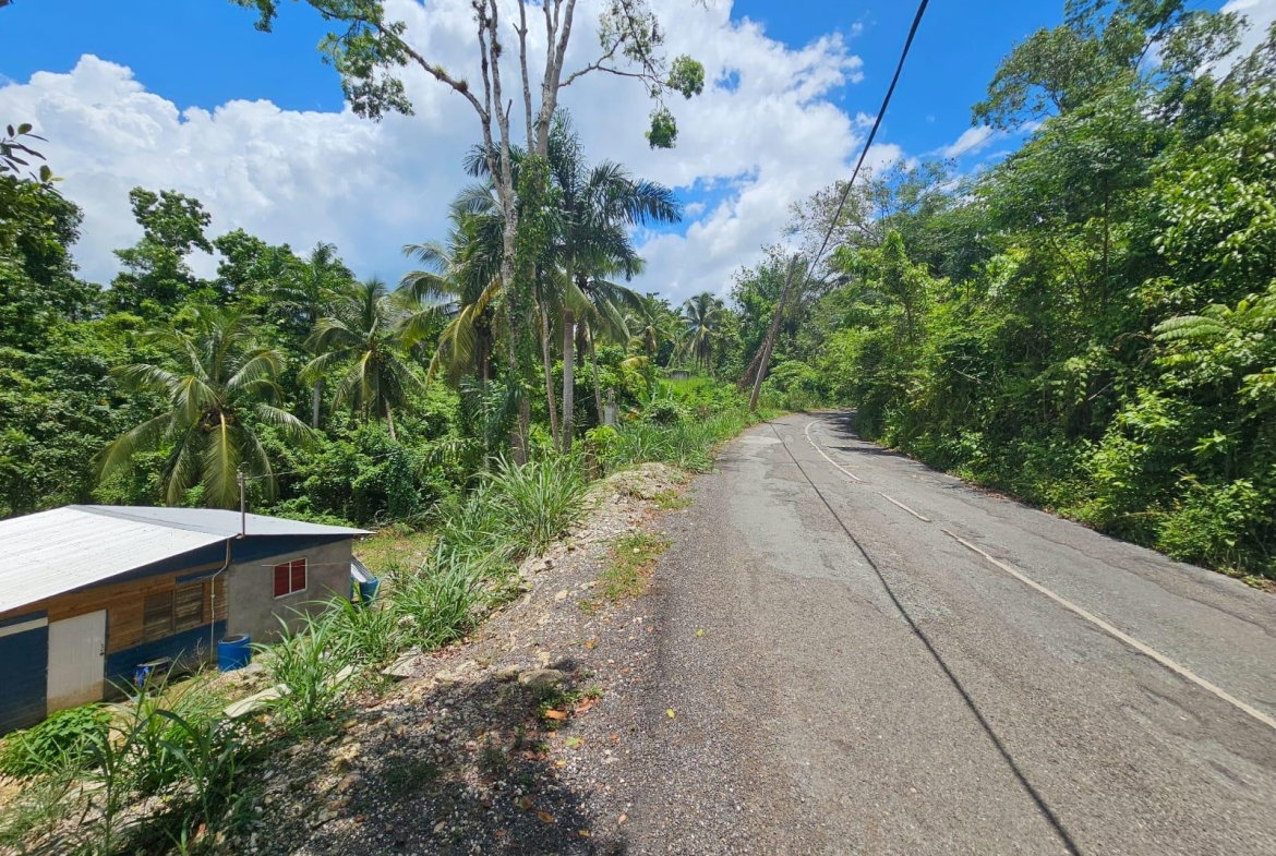 Eighth image of Copse, Lethe Dist in Lethe, Hanover, Jamaica - property is For Sale