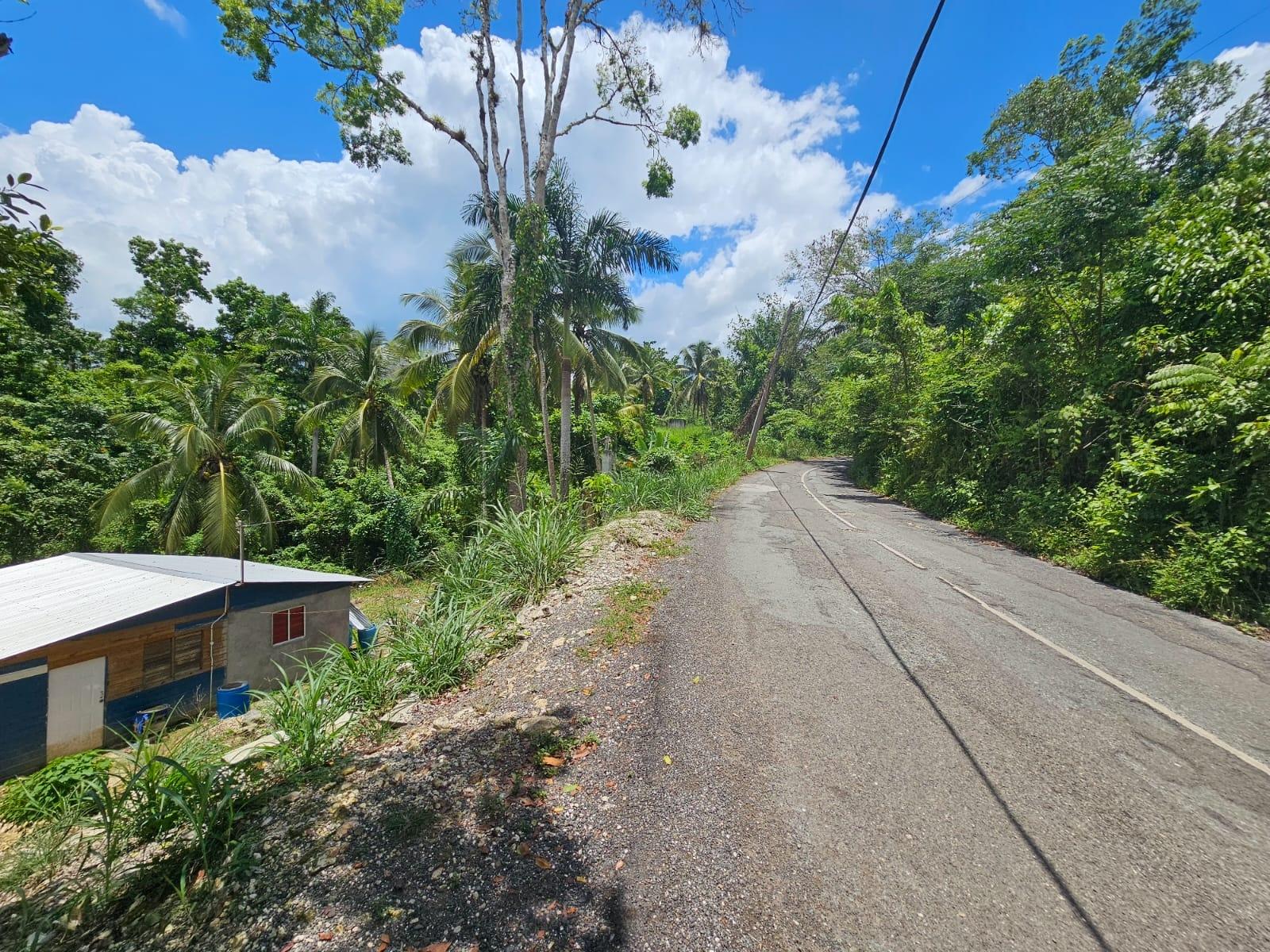 Eighth image of Copse, Lethe Dist in Lethe, Hanover, Jamaica - property is For Sale