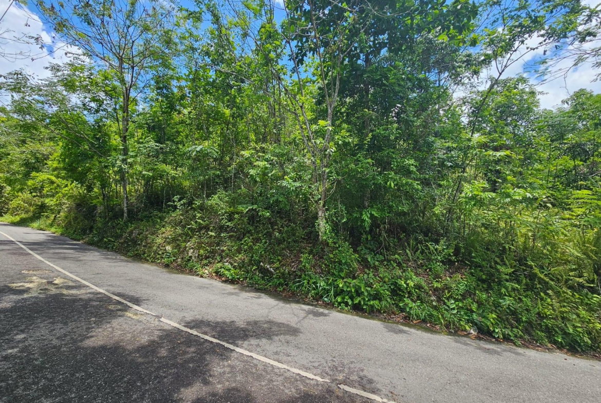 Ninth image of Copse, Lethe Dist in Lethe, Hanover, Jamaica - property is For Sale