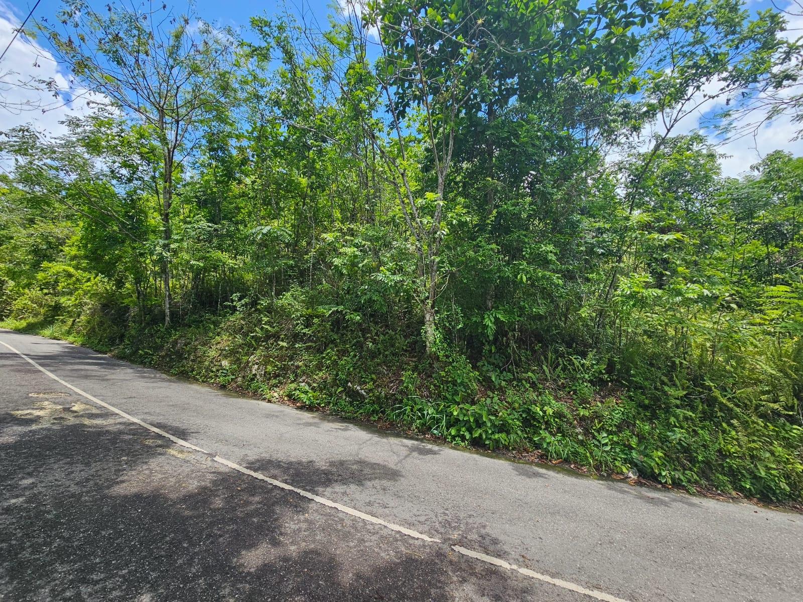 Ninth image of Copse, Lethe Dist in Lethe, Hanover, Jamaica - property is For Sale