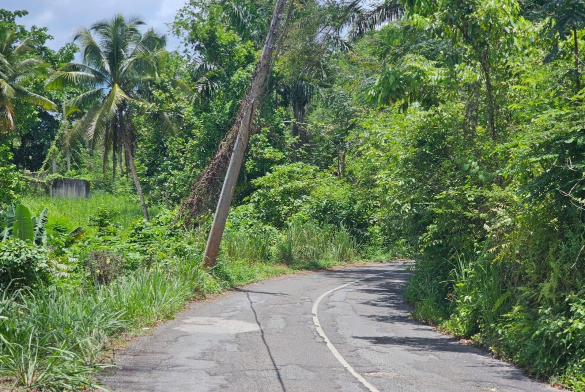 Tenth image of Copse, Lethe Dist in Lethe, Hanover, Jamaica - property is For Sale