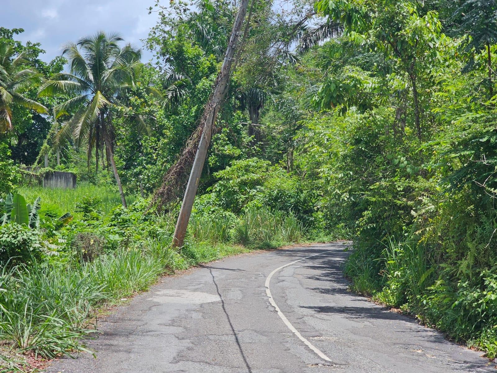 Tenth image of Copse, Lethe Dist in Lethe, Hanover, Jamaica - property is For Sale