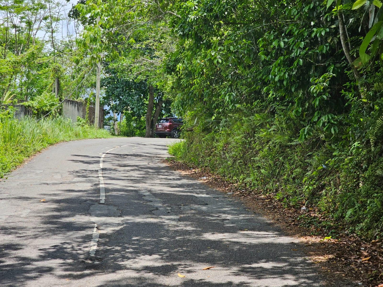 First image of Copse, Lethe Dist in Lethe, Hanover, Jamaica - property is For Sale