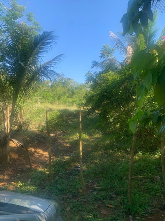 Eighth image of a6 Part of Ramble Pen, Hanov in Ramble, Hanover, Jamaica - property is For Sale