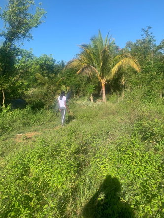 Tenth image of a6 Part of Ramble Pen, Hanov in Ramble, Hanover, Jamaica - property is For Sale