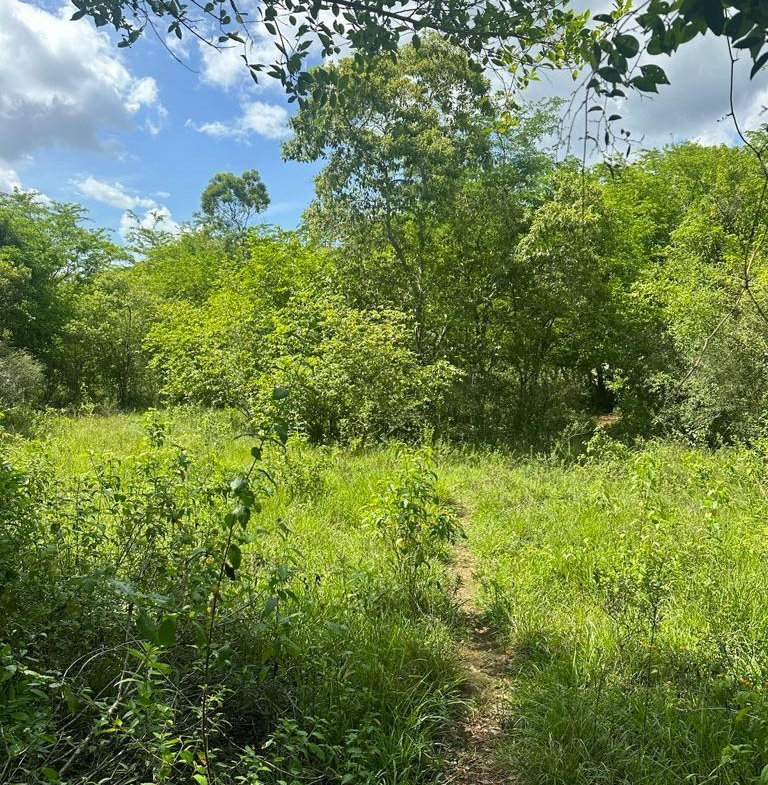 Third image of 234 Goshen st Elizabeth in Goshen, St. Elizabeth, Jamaica - property is For Sale