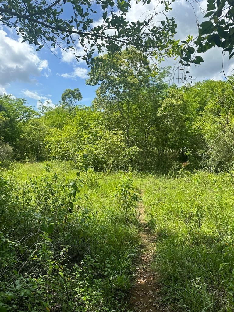 Third image of 234 Goshen st Elizabeth in Goshen, St. Elizabeth, Jamaica - property is For Sale