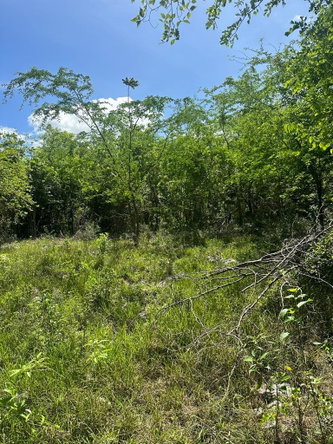 Fourth image of 234 Goshen st Elizabeth in Goshen, St. Elizabeth, Jamaica - property is For Sale