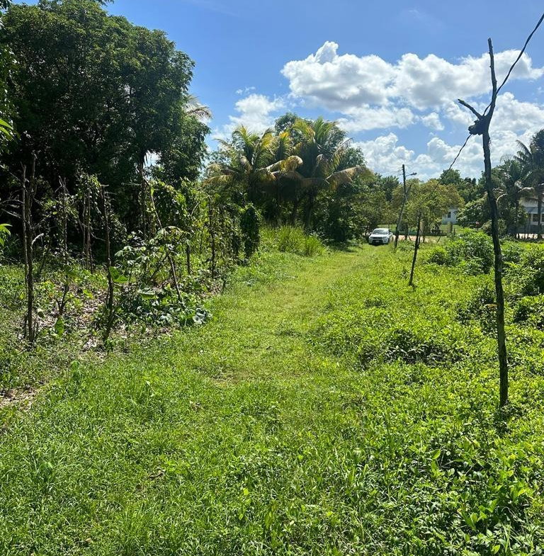 Fifth image of 234 Goshen st Elizabeth in Goshen, St. Elizabeth, Jamaica - property is For Sale