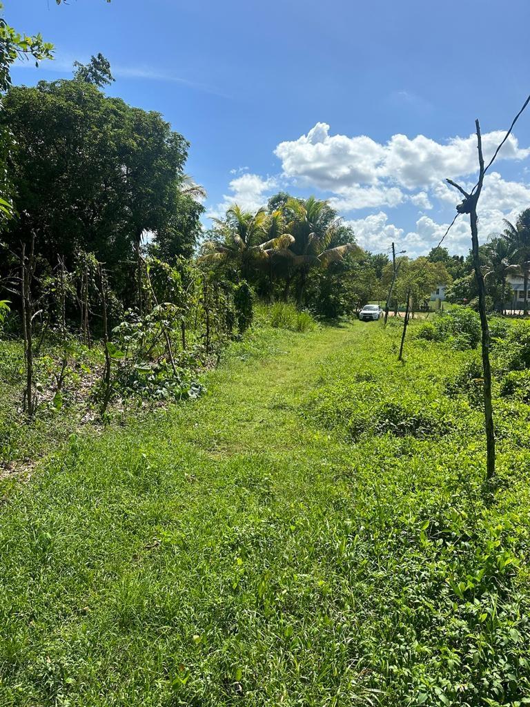 Fifth image of 234 Goshen st Elizabeth in Goshen, St. Elizabeth, Jamaica - property is For Sale