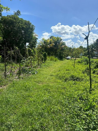 Fifth image of 234 Goshen st Elizabeth in Goshen, St. Elizabeth, Jamaica - property is For Sale