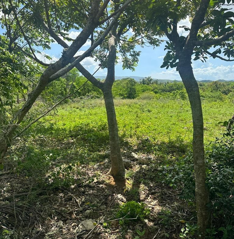Sixth image of 234 Goshen st Elizabeth in Goshen, St. Elizabeth, Jamaica - property is For Sale