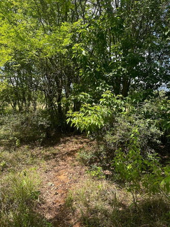 Seventh image of 234 Goshen st Elizabeth in Goshen, St. Elizabeth, Jamaica - property is For Sale