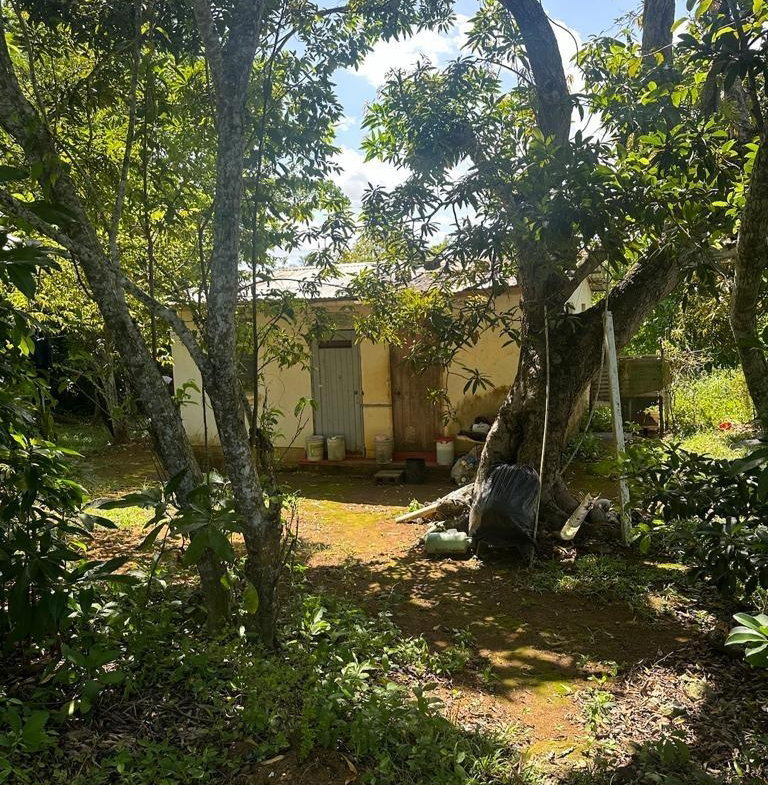 Eighth image of 234 Goshen st Elizabeth in Goshen, St. Elizabeth, Jamaica - property is For Sale