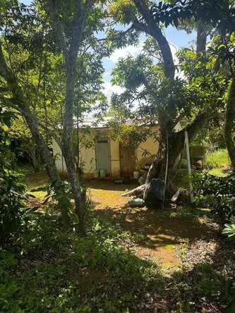 Eighth image of 234 Goshen st Elizabeth in Goshen, St. Elizabeth, Jamaica - property is For Sale