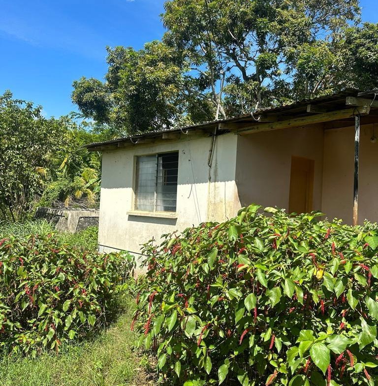 Ninth image of 234 Goshen st Elizabeth in Goshen, St. Elizabeth, Jamaica - property is For Sale