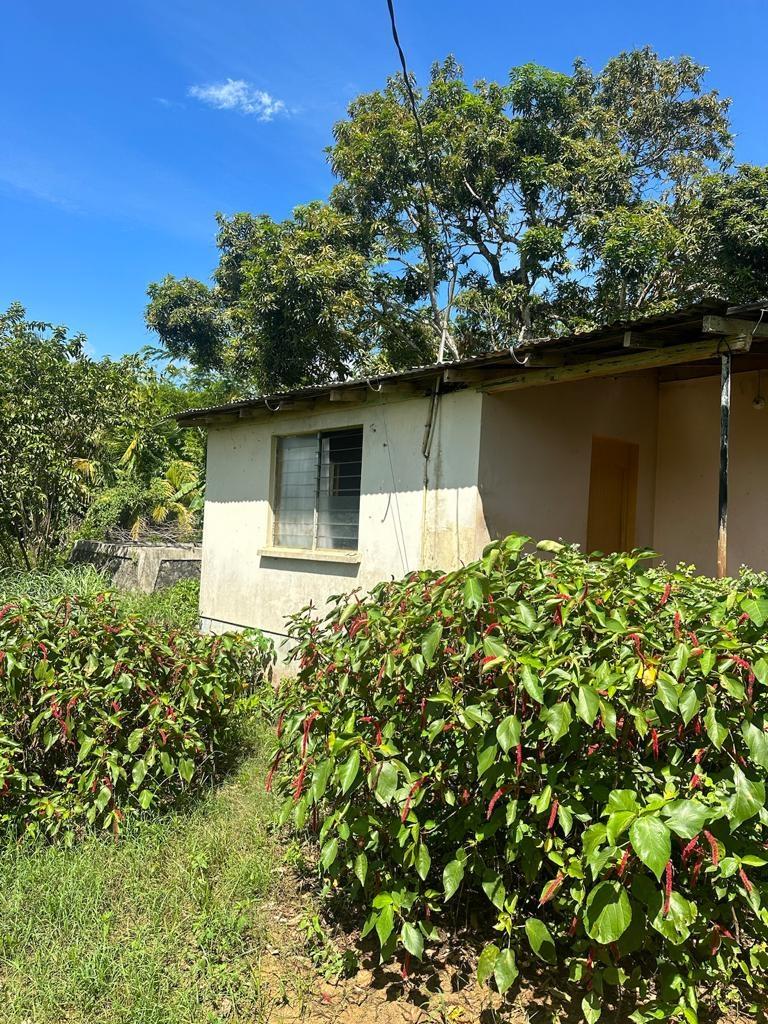 Ninth image of 234 Goshen st Elizabeth in Goshen, St. Elizabeth, Jamaica - property is For Sale
