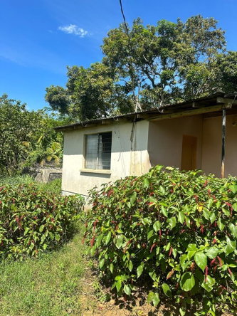 Ninth image of 234 Goshen st Elizabeth in Goshen, St. Elizabeth, Jamaica - property is For Sale