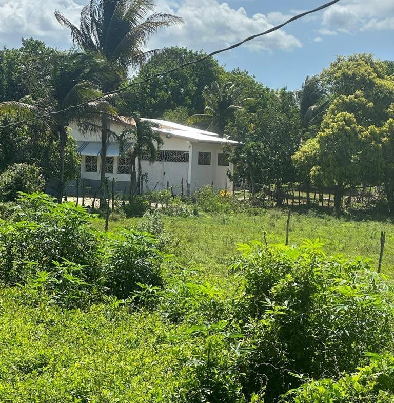 Tenth image of 234 Goshen st Elizabeth in Goshen, St. Elizabeth, Jamaica - property is For Sale