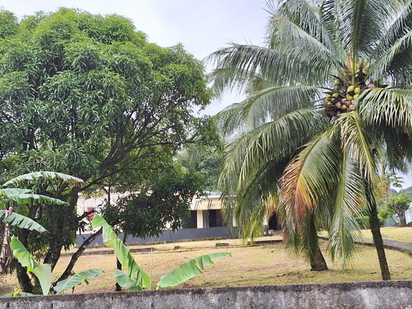 Thirteenth image of 9 Dolphin Bay in Port Antonio, Portland, Jamaica - property is For Sale