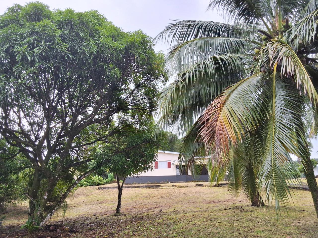 Fourth image of 9 Dolphin Bay in Port Antonio, Portland, Jamaica - property is For Sale