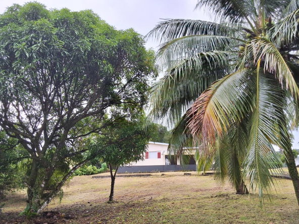 Fourth image of 9 Dolphin Bay in Port Antonio, Portland, Jamaica - property is For Sale