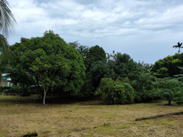 Fifth image of 9 Dolphin Bay in Port Antonio, Portland, Jamaica - property is For Sale