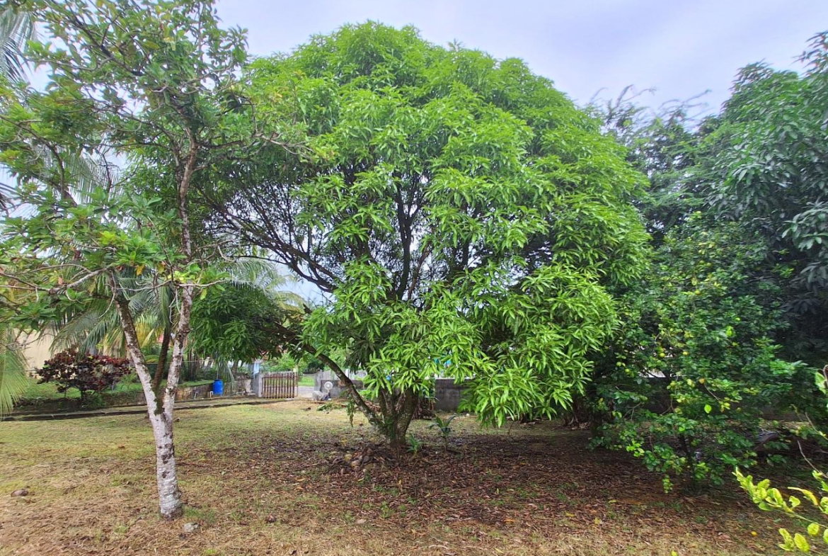 Seventh image of 9 Dolphin Bay in Port Antonio, Portland, Jamaica - property is For Sale
