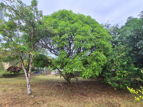 Seventh image of 9 Dolphin Bay in Port Antonio, Portland, Jamaica - property is For Sale