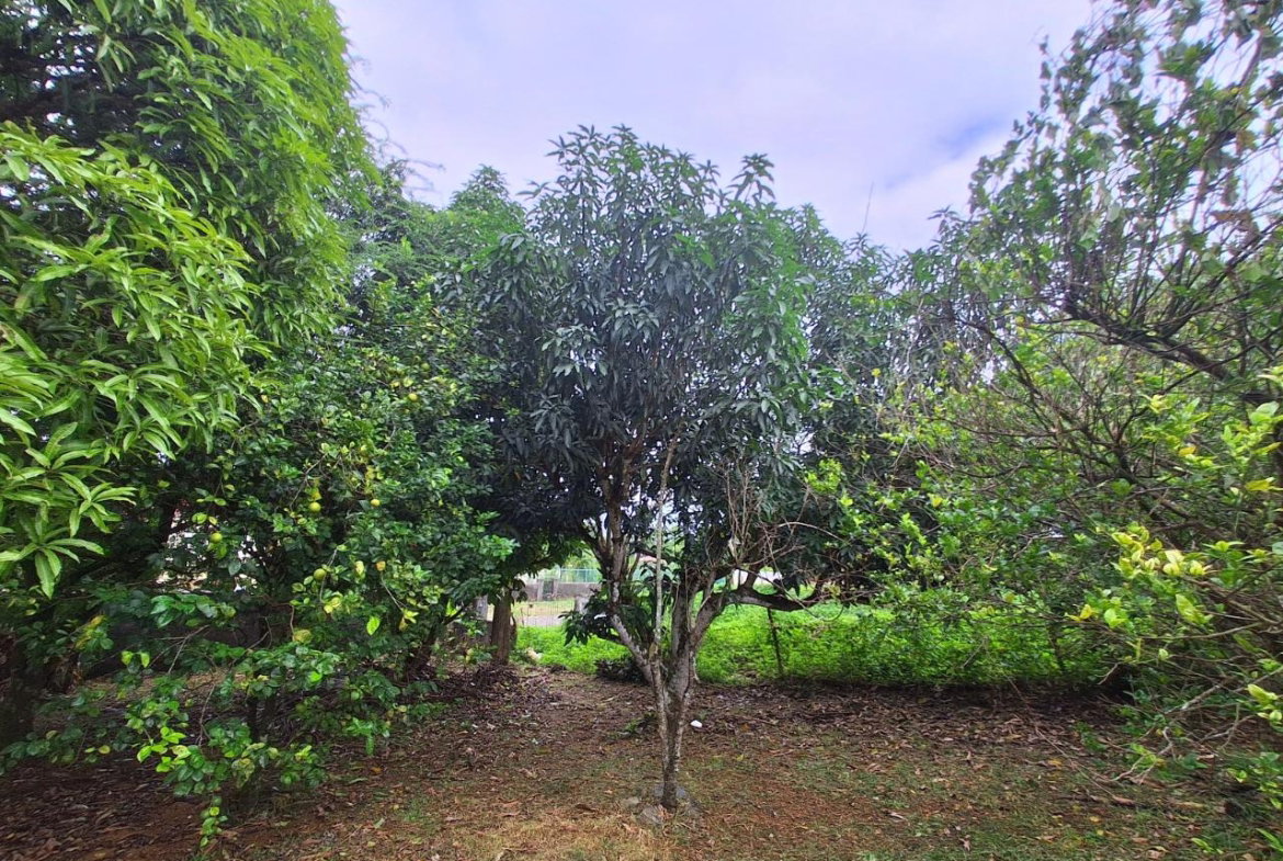 Eighth image of 9 Dolphin Bay in Port Antonio, Portland, Jamaica - property is For Sale
